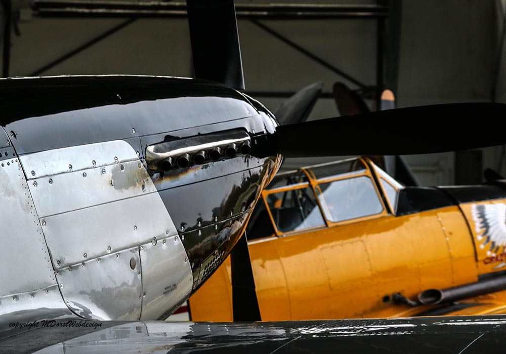 P-51_FlyingDutchman_2015-11-025lr.jpg