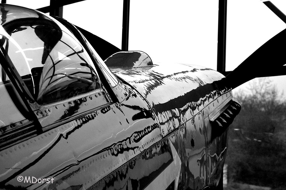 Yak-3_D-FYGJ_2010-01-296.jpg